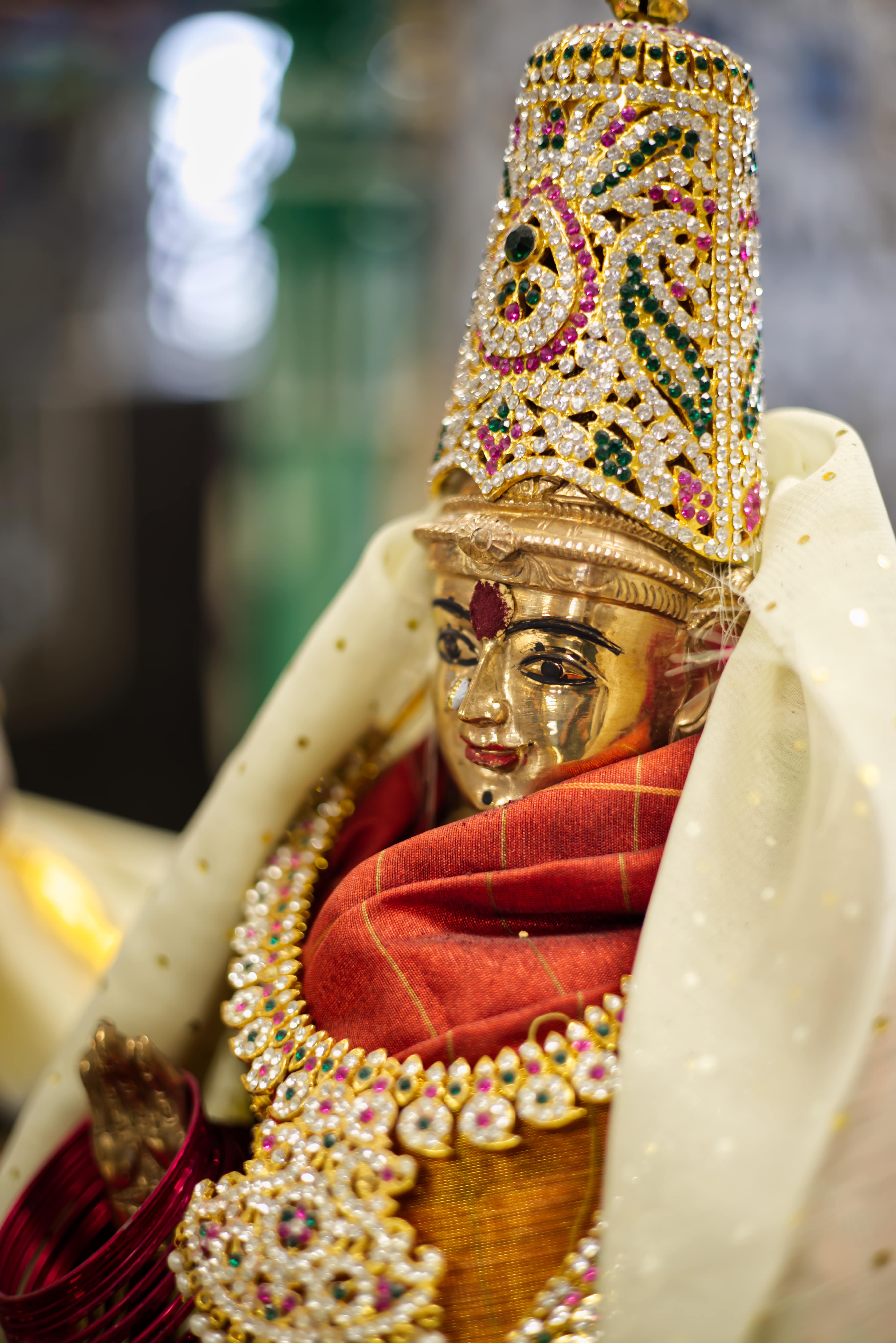 Devotion in Daily Life